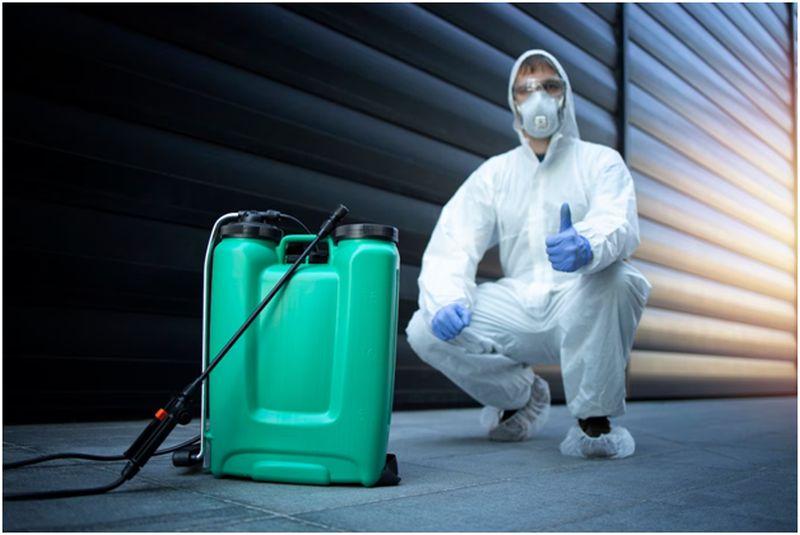 The Benefits of Regular Pest Control Services