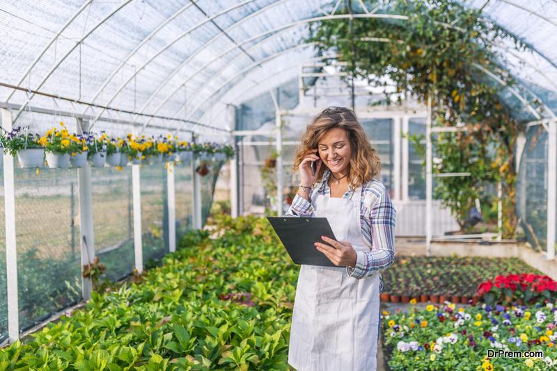 From Hobbyist to Commercial Grower Scaling Up in the Greenhouse Industry