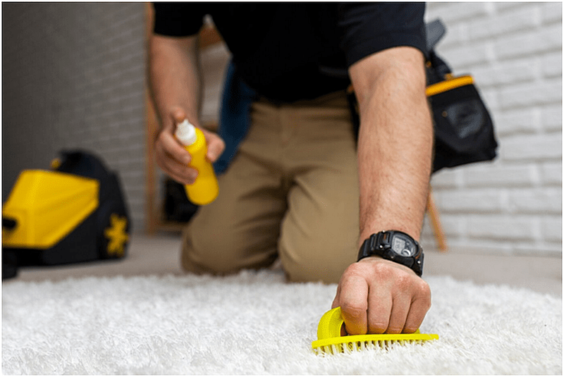 Effective Methods for Preventing Stains on Your Carpets
