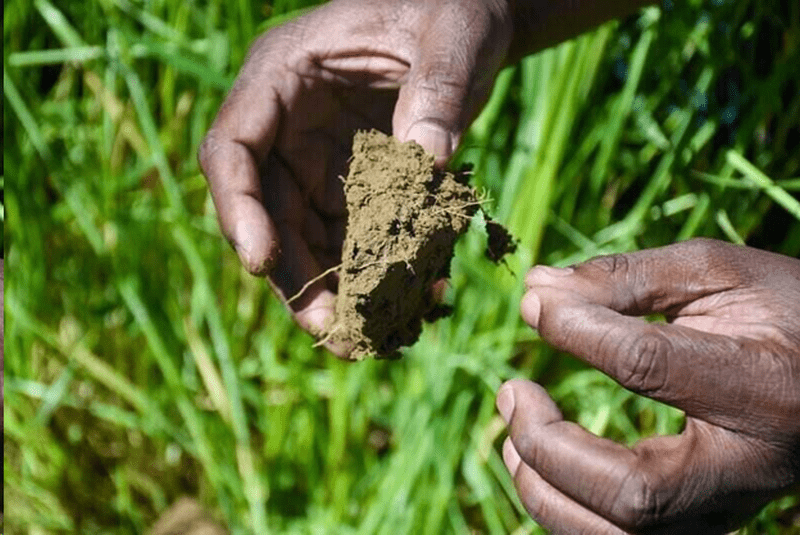 Soil Tests 